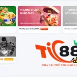 Giới thiệu chung về khuyến mãi Tic88